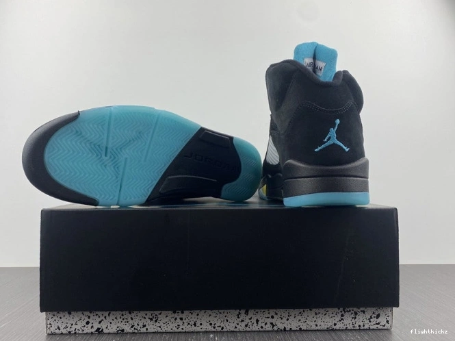 Aqua Air 5 Jordan DD0587-047 0827